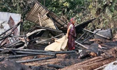 মহম্মদপুরে অগ্নিকাণ্ডে গবাদিপশু পুড়ে ছাই