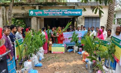 মধুপুরে কৃষকদের মাঝে পারিবারিক পুষ্টি বাগান প্রদর্শনীর উপকরণ বিতরণ