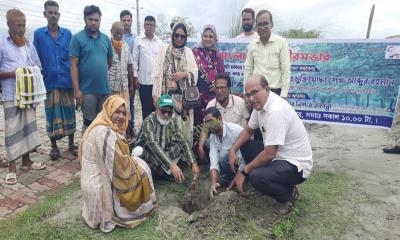 মোংলা পোর্ট পৌরসভার বৃক্ষরোপণ কর্মসূচি