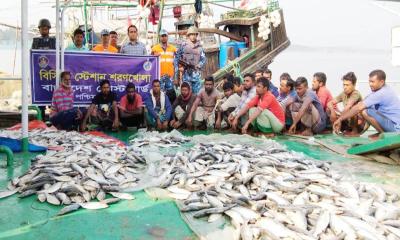 সাড়ে ৪ কোটি টাকার জাটকা ও জালসহ ১০ জেলে আটক