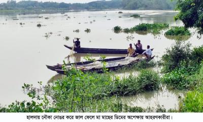 হালদার ডিম সংগ্রহকারীদের আশা জাগাচ্ছে বজ্রবৃষ্টি