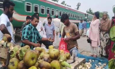 বাগাতিপাড়ায় বাড়ছে তালের শাঁসের কদর