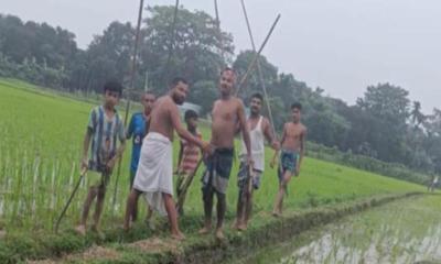 আদালতের রায় উপেক্ষা করে জমি দখলের চেষ্টা