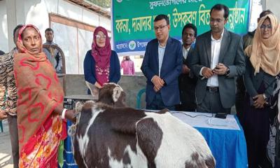 পত্নীতলায় গরু, খাদ্য ও উপকরণ পেলো ১২০ আদিবাসী পরিবার