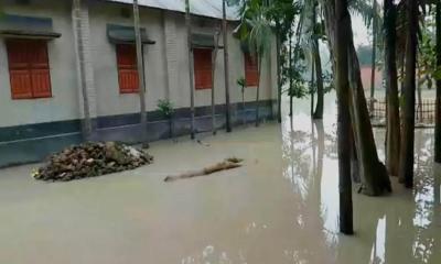 হুহু করে বাড়ছে তিস্তার পানি, নিম্নাঞ্চল প্লাবিত