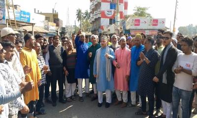 আওয়ামী লীগের সন্ত্রাস ও নৈরাজ্যের প্রতিবাদে পাংশায় বিএনপির বিক্ষোভ