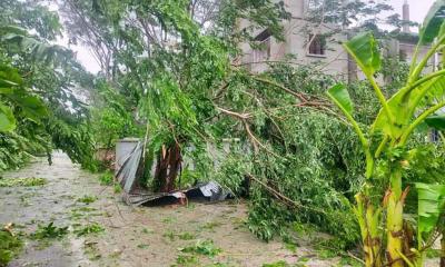 ঘূর্ণিঝড় রেমালের তাণ্ডব: সারাদেশে ৫ জনের মৃত্যু