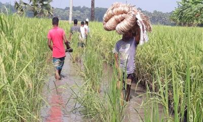 গ্রামে ঢোকার রাস্তা নেই, বিপাকে ৫০ পরিবার