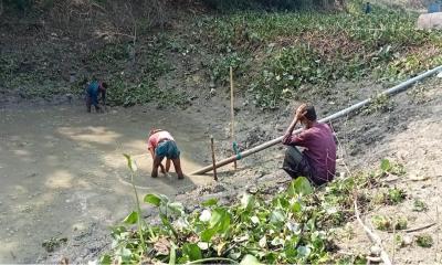 সালথায় রাতের আধারে বিষ দিয়ে পুকুরের মাছ নিধন