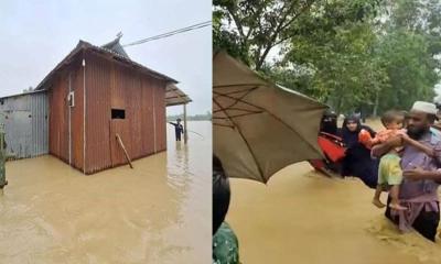 শেরপুরে হঠাৎ বন্যা: চরম দুর্ভোগে ২ উপজেলার মানুষ