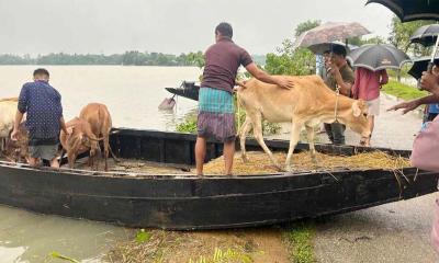 বন্যায় নাস্তানাবুদ সিলেট, পানিবন্দি সাড়ে ৮ লাখ মানুষ