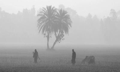 ১৩ জেলায় বইছে শৈত্যপ্রবাহ, বৃষ্টির সম্ভাবনা