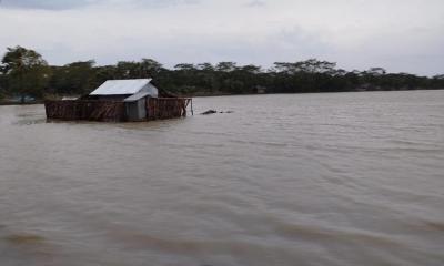 বরগুনার তালতলীত ৬০ হাজার মানুষ পানিবন্দি