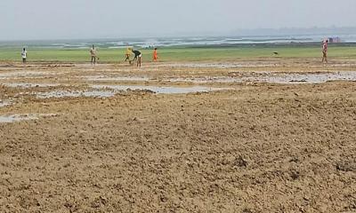 তানোরে হাড়কাঁপানো শীত উপেক্ষা করে চলছে বোরো রোপণের প্রস্তুতি