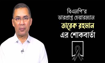 হাসান আরিফের অভিমত রাজনৈতিক দলগুলোর প্রেরণার শক্তি