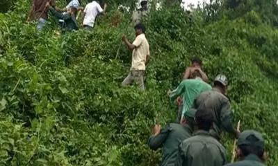 টেকনাফে বন বিভাগের তিন কর্মচারীসহ ১৭ জনকে অপহরণ