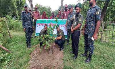 নীলফামারীতে আনসার ও ভিডিপি‍‍`র ‘বৃক্ষরোপন অভিযান’ শুরু